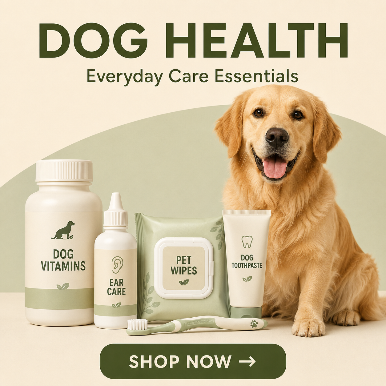 Dog Corner Health