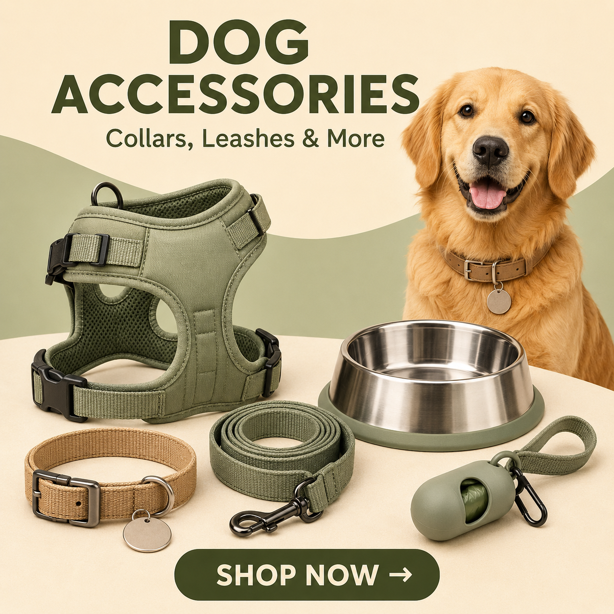 Dog Corner Accessories