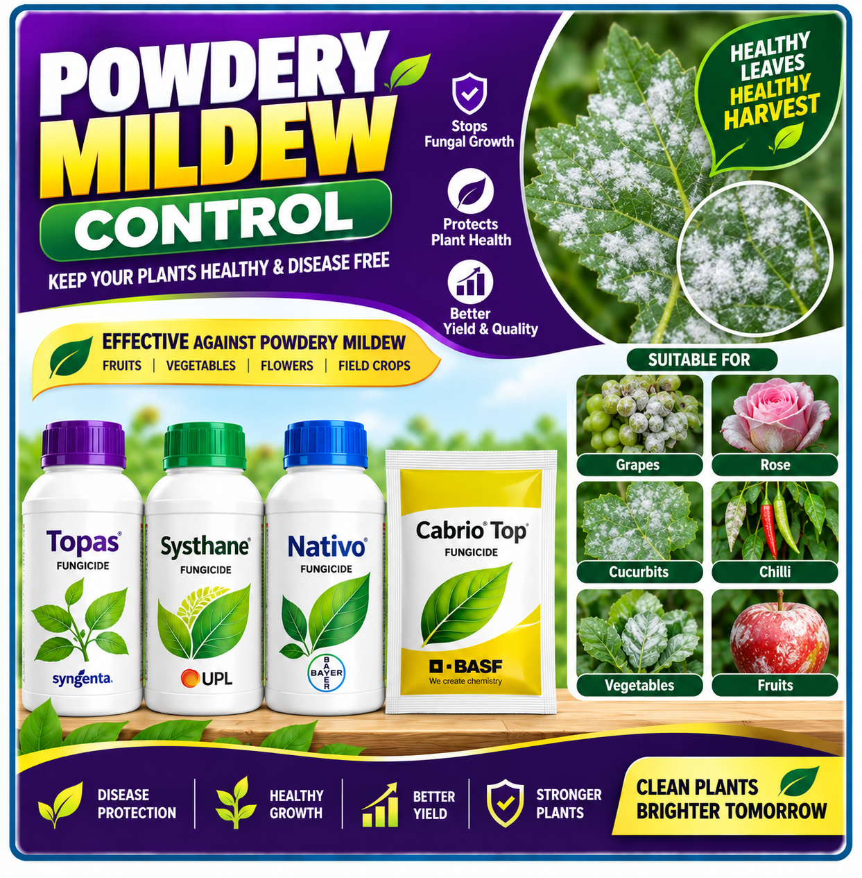Powdery Mildew Control